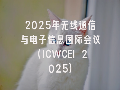 2025年无线通信与电子信息国际会议（ICWCEI 2025）