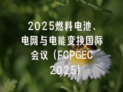 2025燃料电池、电网与电能变换国际会议（FCPGEC 2025）