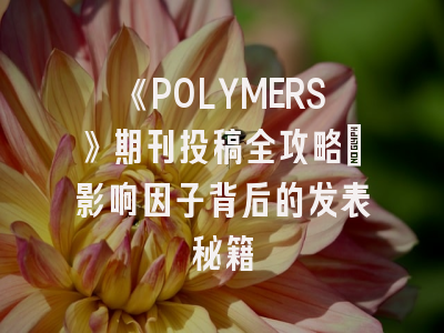 《POLYMERS》期刊投稿全攻略：影响因子背后的发表秘籍