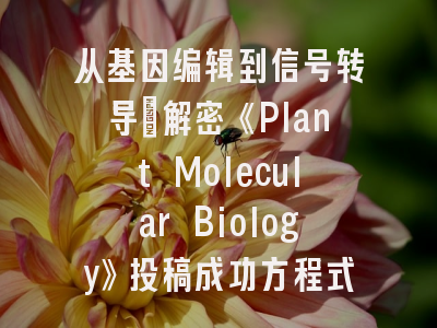 从基因编辑到信号转导：解密《Plant Molecular Biology》投稿成功方程式