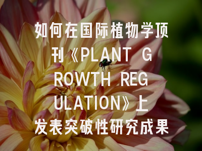 如何在国际植物学顶刊《PLANT GROWTH REGULATION》上发表突破性研究成果？