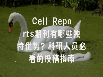 Cell Reports期刊有哪些独特优势？科研人员必看的投稿指南