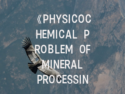 《PHYSICOCHEMICAL PROBLEM OF MINERAL PROCESSING》权威解析：从收录偏好到实战投稿策略