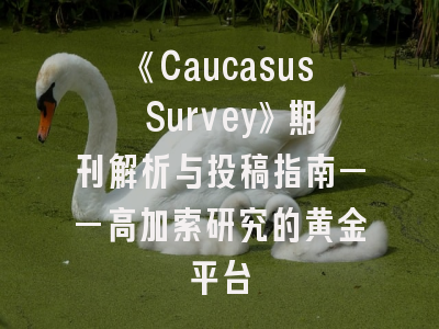 《Caucasus Survey》期刊解析与投稿指南——高加索研究的黄金平台