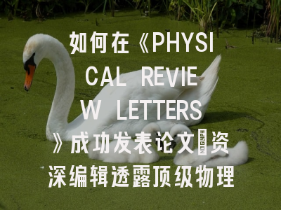 如何在《PHYSICAL REVIEW LETTERS》成功发表论文：资深编辑透露顶级物理期刊的投稿策略