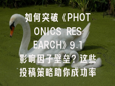 如何突破《PHOTONICS RESEARCH》9.1影响因子壁垒？这些投稿策略助你成功率翻倍