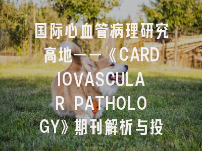 国际心血管病理研究高地——《CARDIOVASCULAR PATHOLOGY》期刊解析与投稿实务指南