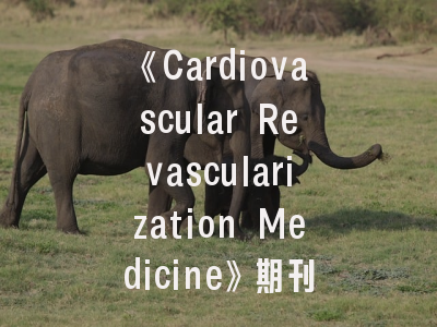 《Cardiovascular Revascularization Medicine》期刊解析-心血管介入研究的发表秘籍