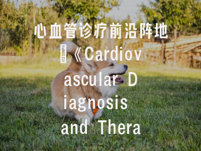 心血管诊疗前沿阵地：《Cardiovascular Diagnosis and Therapy》期刊深度解析与写作指导