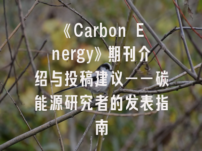 《Carbon Energy》期刊介绍与投稿建议——碳能源研究者的发表指南