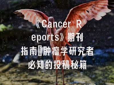 《Cancer Reports》期刊指南：肿瘤学研究者必知的投稿秘籍
