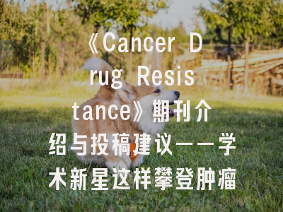 《Cancer Drug Resistance》期刊介绍与投稿建议——学术新星这样攀登肿瘤耐药高峰