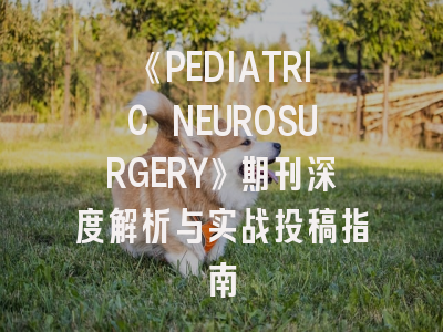 《PEDIATRIC NEUROSURGERY》期刊深度解析与实战投稿指南