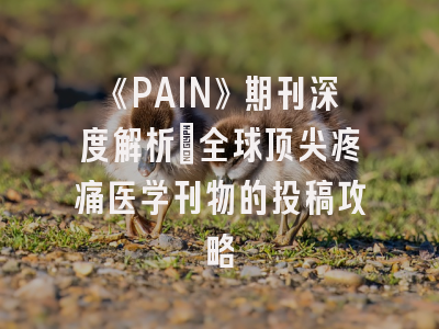 《PAIN》期刊深度解析：全球顶尖疼痛医学刊物的投稿攻略