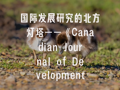 国际发展研究的北方灯塔——《Canadian Journal of Development Studies》学术定位与投稿策略解析