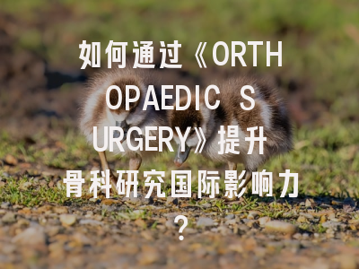 如何通过《ORTHOPAEDIC SURGERY》提升骨科研究国际影响力？