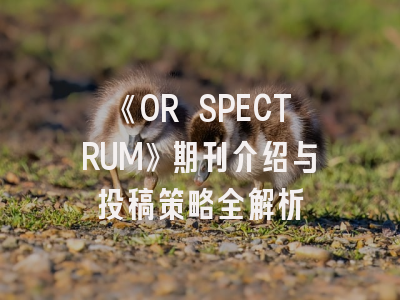 《OR SPECTRUM》期刊介绍与投稿策略全解析