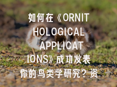 如何在《ORNITHOLOGICAL APPLICATIONS》成功发表你的鸟类学研究？资深编辑的实用指南