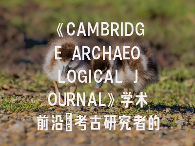 《CAMBRIDGE ARCHAEOLOGICAL JOURNAL》学术前沿_考古研究者的必读投稿攻略