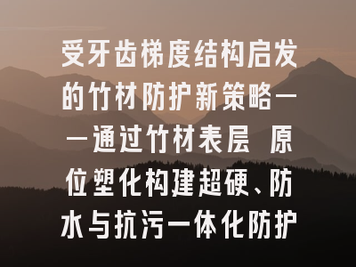 受牙齿梯度结构启发的竹材防护新策略——通过竹材表层 原位塑化构建超硬、防水与抗污一体化防护结构