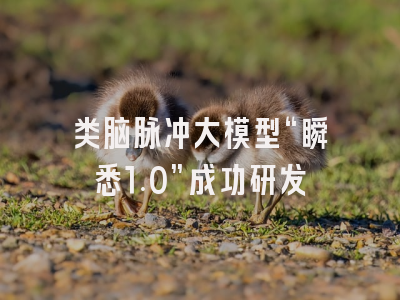类脑脉冲大模型“瞬悉1.0”成功研发