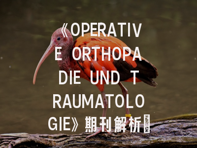 《OPERATIVE ORTHOPADIE UND TRAUMATOLOGIE》期刊解析：骨科医生必知的投稿门道