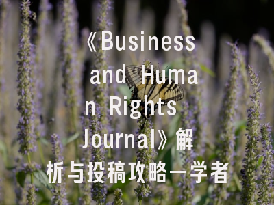 《Business and Human Rights Journal》解析与投稿攻略—学者必看的实务指南