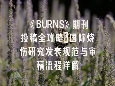《BURNS》期刊投稿全攻略：国际烧伤研究发表规范与审稿流程详解