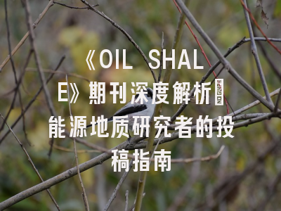 《OIL SHALE》期刊深度解析：能源地质研究者的投稿指南