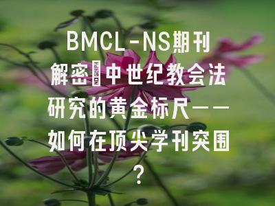 BMCL-NS期刊解密：中世纪教会法研究的黄金标尺——如何在顶尖学刊突围？