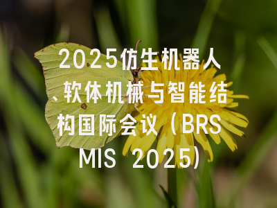 2025仿生机器人、软体机械与智能结构国际会议（BRSMIS 2025）