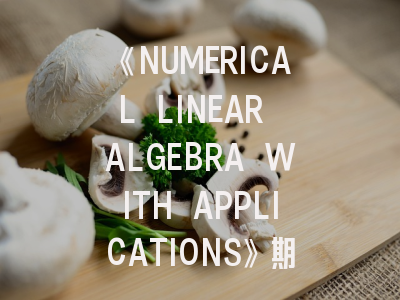 《NUMERICAL LINEAR ALGEBRA WITH APPLICATIONS》期刊特色解析与发表要诀