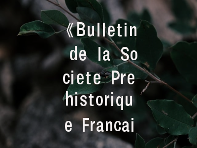 《Bulletin de la Societe Prehistorique Francaise》学术指南_史前考古研究者的必读投稿策略