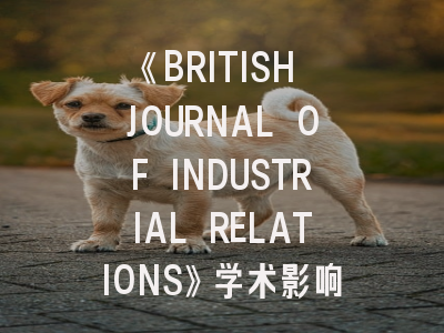 《BRITISH JOURNAL OF INDUSTRIAL RELATIONS》学术影响力解构_劳动研究领域的黄金投稿指南
