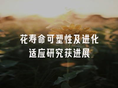 花寿命可塑性及进化适应研究获进展