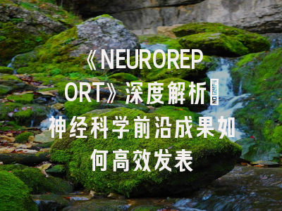 《NEUROREPORT》深度解析：神经科学前沿成果如何高效发表