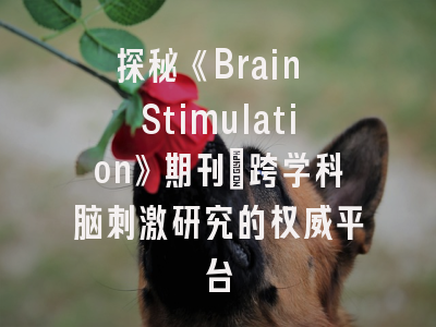 探秘《Brain Stimulation》期刊_跨学科脑刺激研究的权威平台