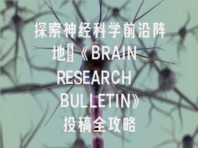 探索神经科学前沿阵地：《BRAIN RESEARCH BULLETIN》投稿全攻略
