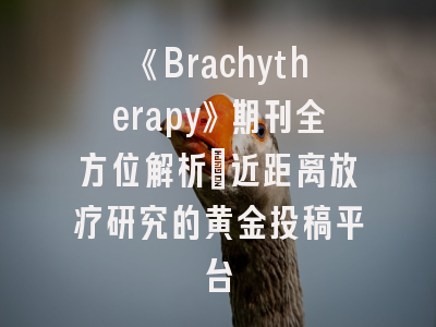 《Brachytherapy》期刊全方位解析_近距离放疗研究的黄金投稿平台