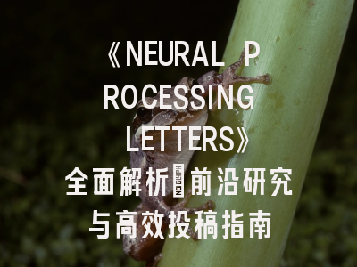《NEURAL PROCESSING LETTERS》全面解析：前沿研究与高效投稿指南