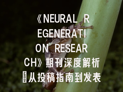 《NEURAL REGENERATION RESEARCH》期刊深度解析：从投稿指南到发表策略