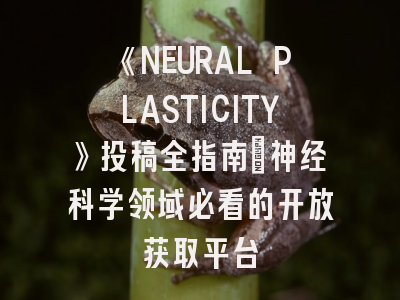 《NEURAL PLASTICITY》投稿全指南：神经科学领域必看的开放获取平台