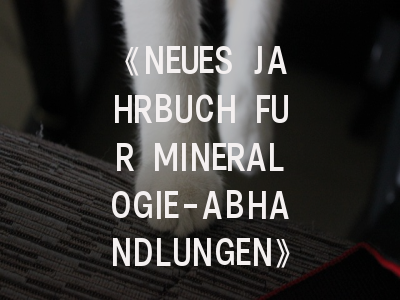 《NEUES JAHRBUCH FUR MINERALOGIE-ABHANDLUNGEN》投稿全攻略：地质学者的进阶指南