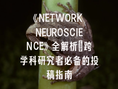 《NETWORK NEUROSCIENCE》全解析：跨学科研究者必备的投稿指南