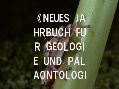 《NEUES JAHRBUCH FUR GEOLOGIE UND PALAONTOLOGIE-ABHANDLUNGEN》期刊介绍与投稿策略