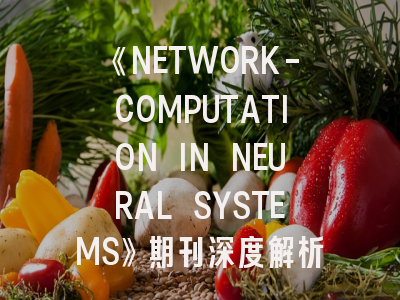 《NETWORK-COMPUTATION IN NEURAL SYSTEMS》期刊深度解析与投稿实战指南