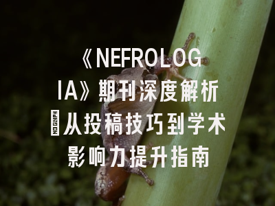 《NEFROLOGIA》期刊深度解析：从投稿技巧到学术影响力提升指南
