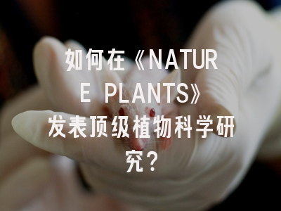 如何在《NATURE PLANTS》发表顶级植物科学研究？