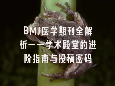 BMJ医学期刊全解析——学术殿堂的进阶指南与投稿密码
