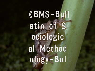 《BMS-Bulletin of Sociological Methodology-Bulletin de Methodologie Sociologique》期刊解析与科研战略指南